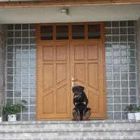 Ferestre si usi din lemn stratificat - Cluj Napoca