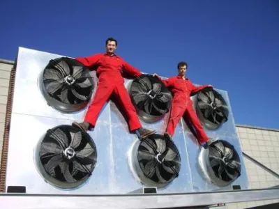 Mischel Leonardo s.r.l.