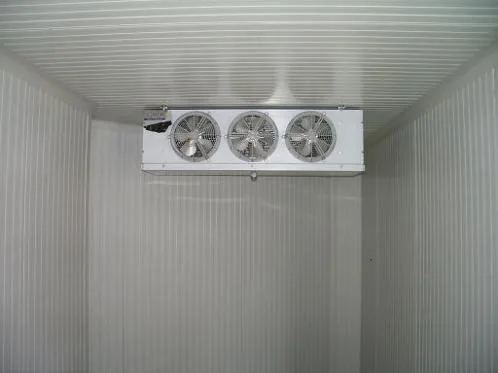 Mischel Leonardo s.r.l.