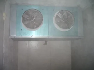 Mischel Leonardo s.r.l.