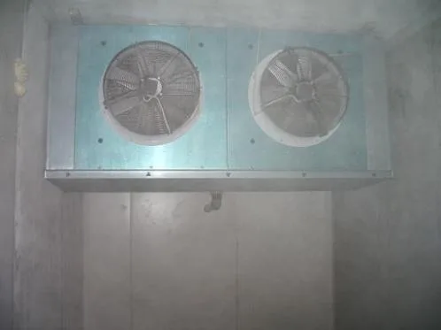 Mischel Leonardo s.r.l.