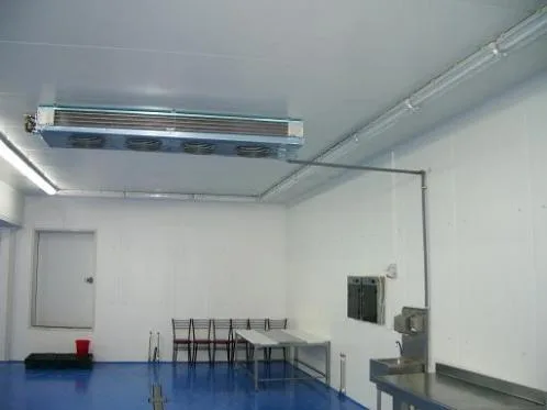 Mischel Leonardo s.r.l.