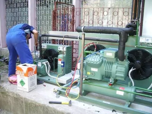 Mischel Leonardo s.r.l.