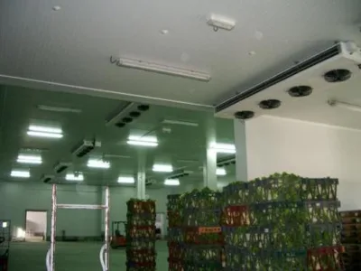 Mischel Leonardo s.r.l.