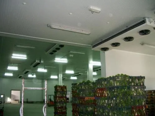 Mischel Leonardo s.r.l.