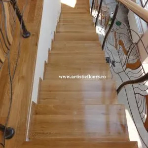 Comercializare - montare si finisare parchet masiv - Chiajna / Ilfov