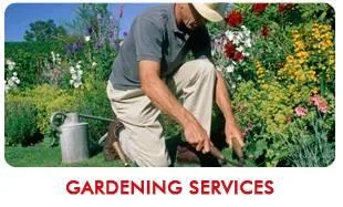 Servicii curatenie de inalta caltate Timisoara