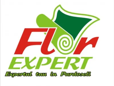 Comercializare parchet - covoare PVC - mochete - Oradea