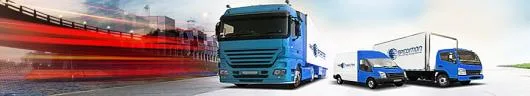 Transporturi rutiere - interne si internationale - pentru orice fel de marfuri - Dumbravita / Timis