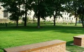 Amenajari peisagere de mare anvergura Oradea