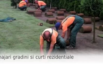 Amenajari peisagere de mare anvergura Oradea