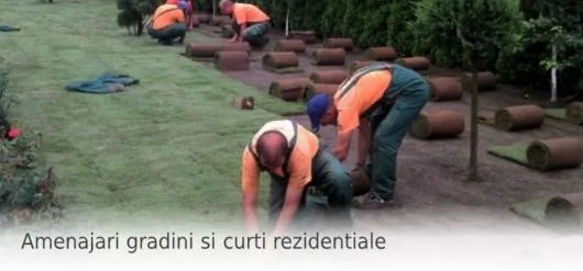 Amenajari peisagere de mare anvergura Oradea