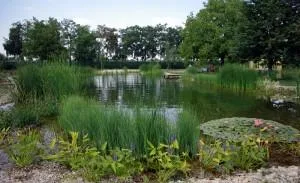 Amenajari peisagere de mare anvergura Oradea