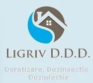 Dezinsectie - dezinfectie Bucuresti si Ilfov