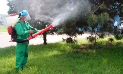 Dezinsectie - dezinfectie Bucuresti si Ilfov