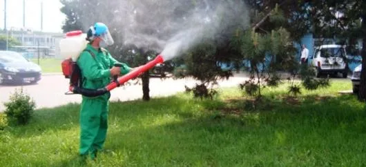 Dezinsectie - dezinfectie Bucuresti si Ilfov