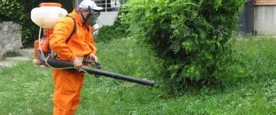 Dezinsectie - dezinfectie Bucuresti si Ilfov