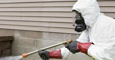 Dezinsectie - dezinfectie Bucuresti si Ilfov