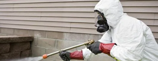 Dezinsectie - dezinfectie Bucuresti si Ilfov