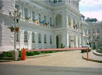 Usi garaj - confectii metalice - porti - usi - garduri - Arad