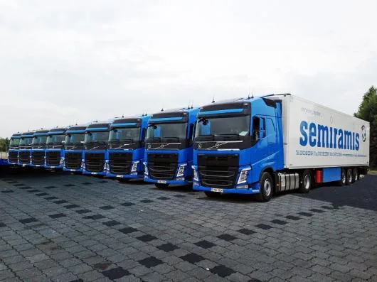 Transport rutier international de marfuri si transport intern - Bradu / Arges
