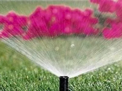 Babylon Garden Proiectare si amenajari gradini in Bucuresti si in tara