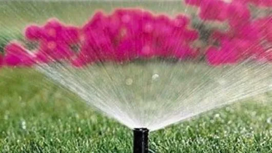 Babylon Garden Proiectare si amenajari gradini in Bucuresti si in tara