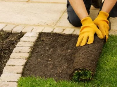 Bucuresti - Amenajare si intretinere spatii verzi