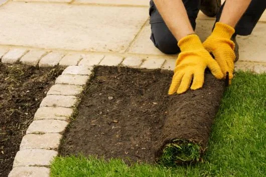 Bucuresti - Amenajare si intretinere spatii verzi