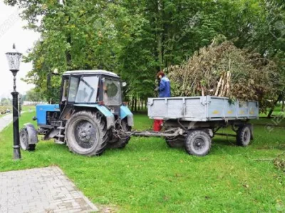 Bucuresti - Amenajare si intretinere spatii verzi