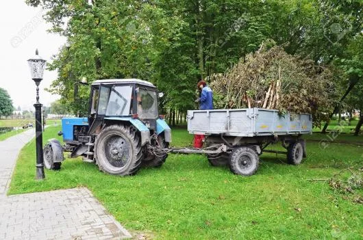 Bucuresti - Amenajare si intretinere spatii verzi