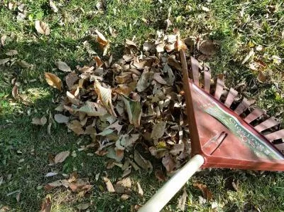 Bucuresti - Amenajare si intretinere spatii verzi