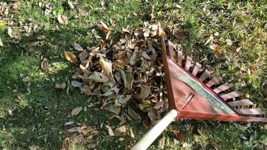 Bucuresti - Amenajare si intretinere spatii verzi
