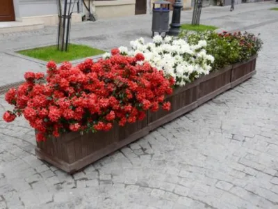 Tomesti / Iasi - Amenajari gradini - impaduriri - mobilier urban