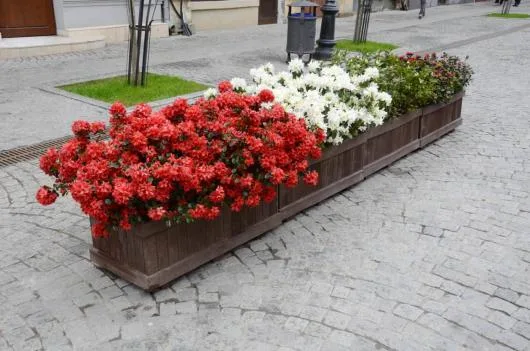 Tomesti / Iasi - Amenajari gradini - impaduriri - mobilier urban