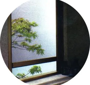 Jaluzele - rolete - porti de garaj - tamplarie PVC - Santion / Bihor