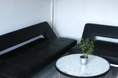 Servicii specializate curatenie Timisoara