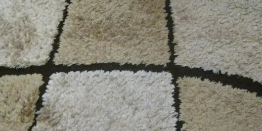 Servicii specializate curatenie Timisoara