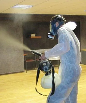 Deratizare - dezinsectie si dezinfectie Bucuresti