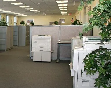 Servicii curatenie de calitate Bucuresti