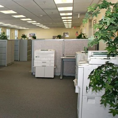 Servicii curatenie de calitate Bucuresti