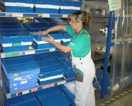 Ecomid Servicii de curatenie civila si industriala Timisoara