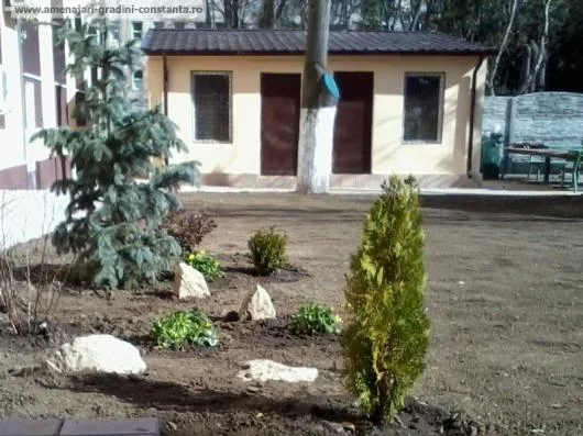 IXORA PROD -SERV Amenajari gradini si spatii verzi Constanta