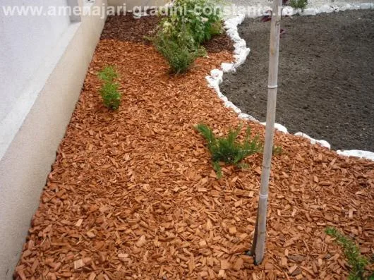 IXORA PROD -SERV Amenajari gradini si spatii verzi Constanta