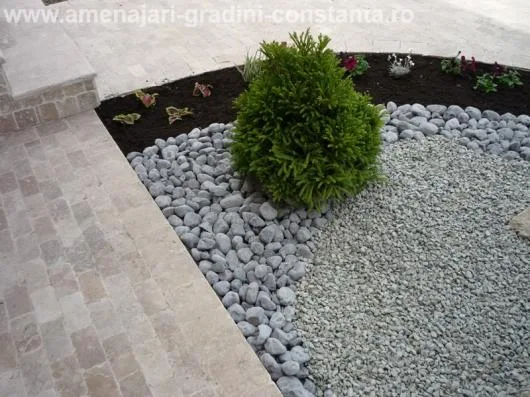 IXORA PROD -SERV Amenajari gradini si spatii verzi Constanta