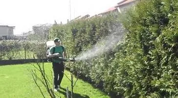 Botosani - Amenajare si intretinere spatii verzi