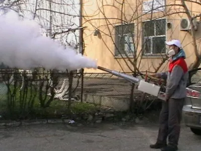 Ignifugare ,dezinsectie - deratizare - dezinfectie - Constanta