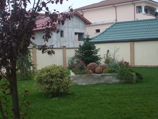 Amenajari gradini Constanta