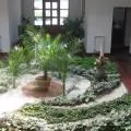 Amenajari gradini Constanta