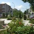 Amenajari gradini Constanta